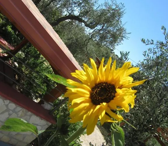 Apartment Tor Di Lupo
